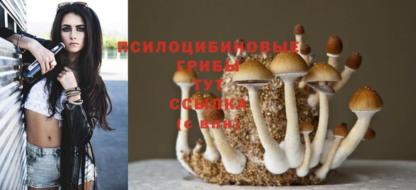 а пвп мука Алексин