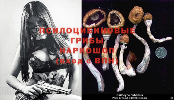 mdpv Алзамай