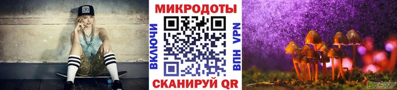 kraken сайт  Кола  Галлюциногенные грибы Cubensis 